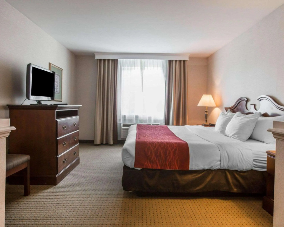 Comfort Inn & Suites East Greenbush - Albany