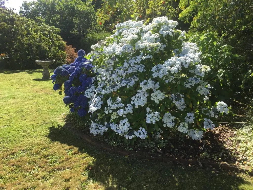 Pa Road B&B Kerikeri NZ