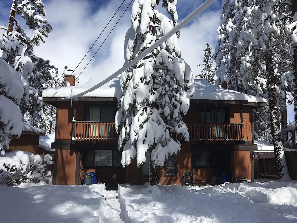 Tao Cabins