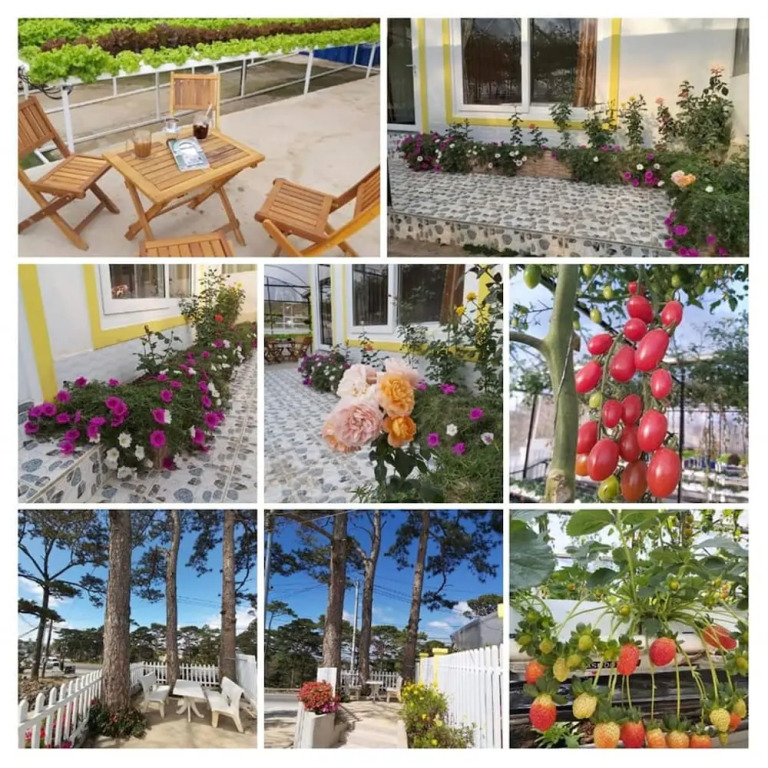 Vườn Nhà Đan Homestay