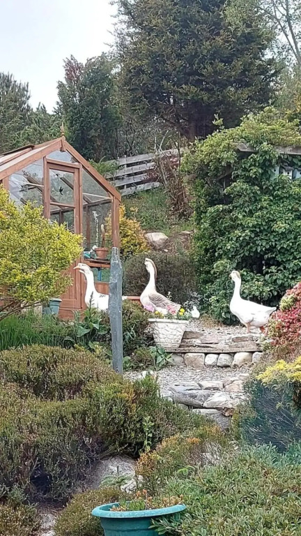 The Guest suite at Daviot ,Inverness