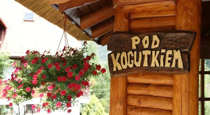 Willa Stareczka - pokoje z balkonami i widokiem na dobry dzień, zabierz pupila
