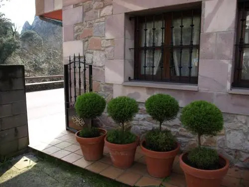 Posada El Cafetín