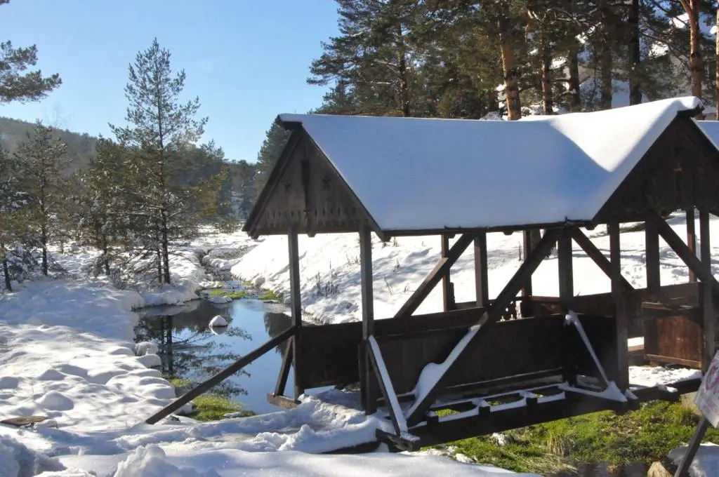 Apartments Varga