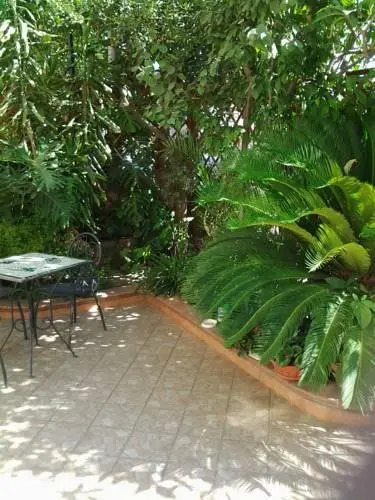 Ulivo