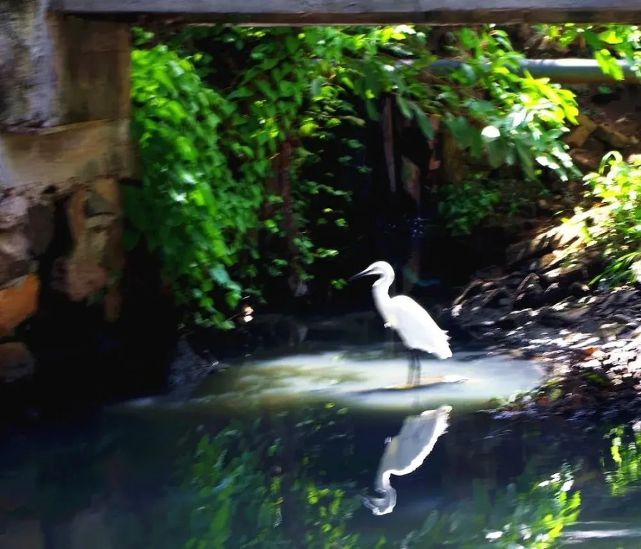 Villa Eco Green Tours