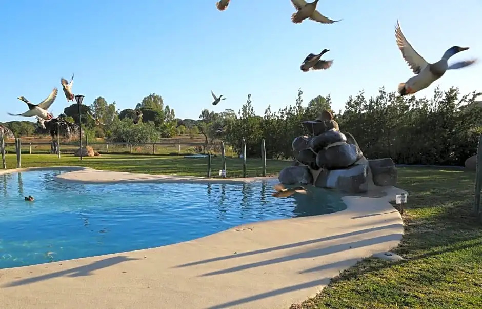 Ardea Purpurea Hotel Lodge & Restaurant