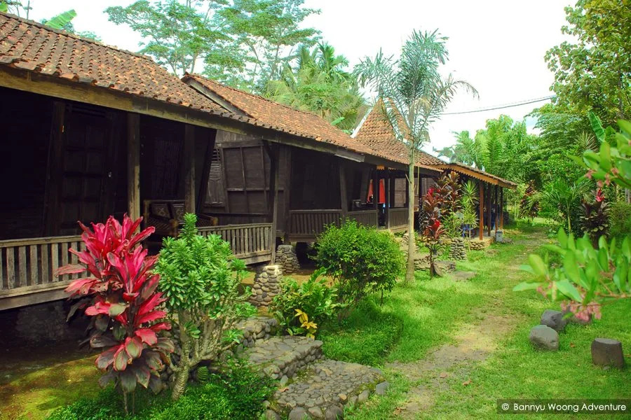 The Pikas Resort