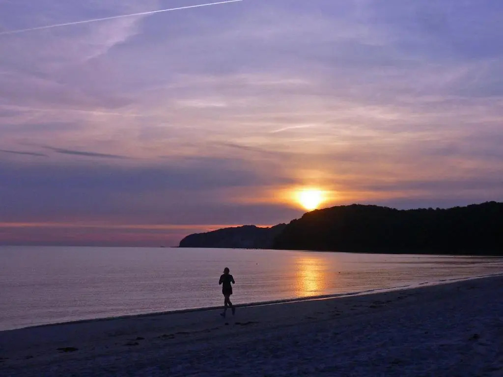 Ruhige FeWo mit Strandkorb, Villa Stranddistel, Binz