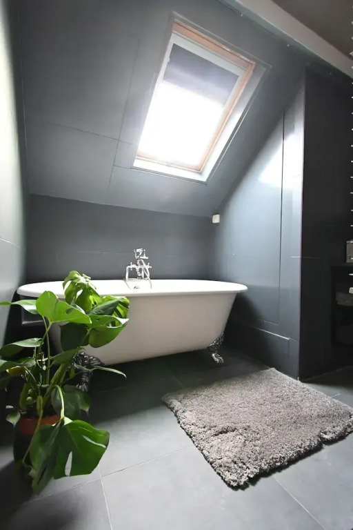 Cheap, Affordable Luxury in Antwerp Cc-4