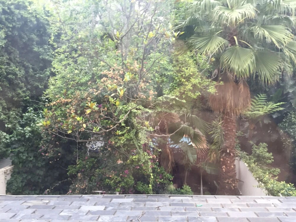 Sandton Place