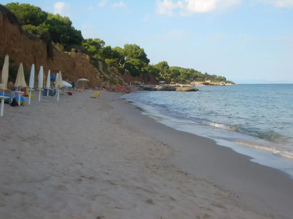 Jungle House - Pineta Is Morus