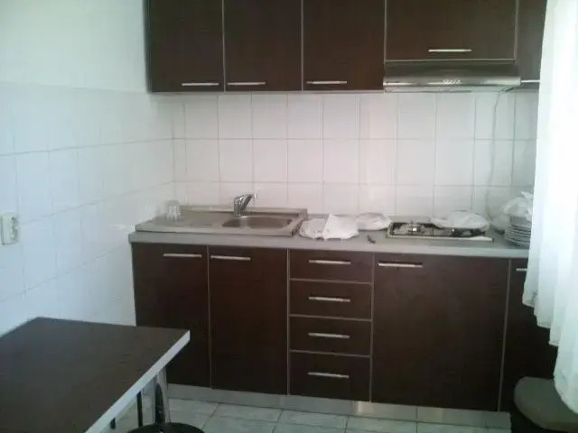 Vila Poienita