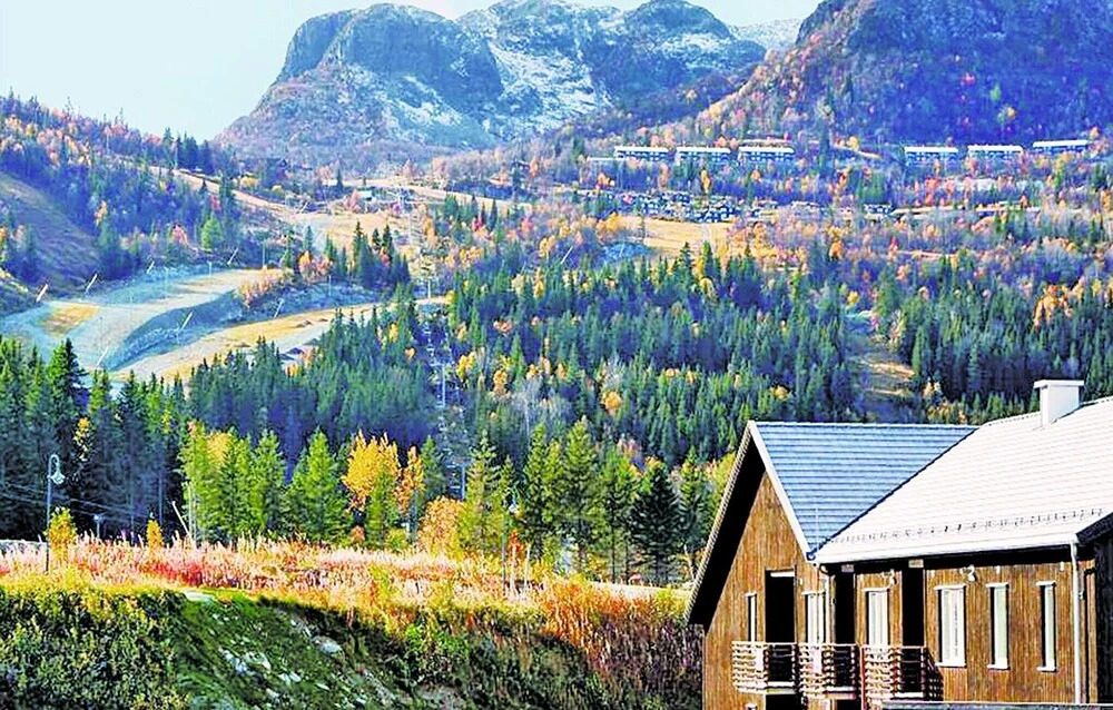 Awesome Apartment in Hemsedal With 3 Bedrooms, Sauna and Wifi