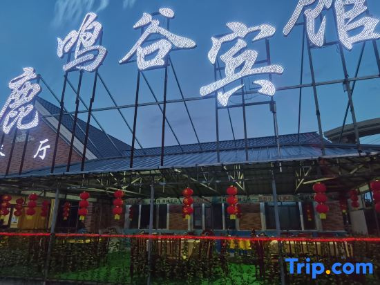 Jingpo Lake Luming Valley Holiday Hotel
