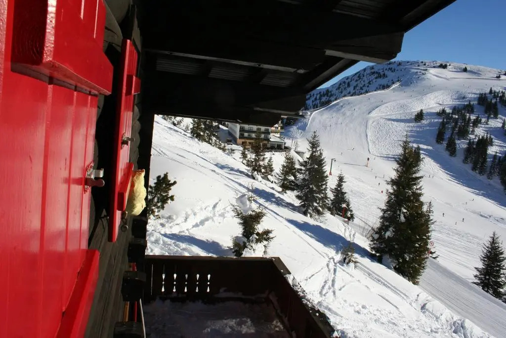 Chalet Schönleiten