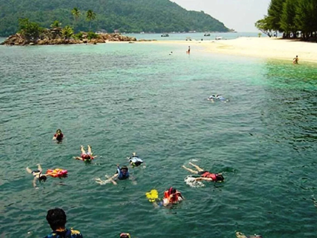 D'Coconut Lagoon