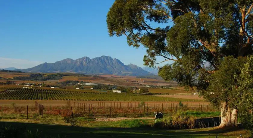 Allegria Guesthouse & Vineyard
