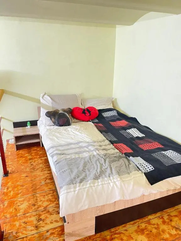Apartament Ultracentral