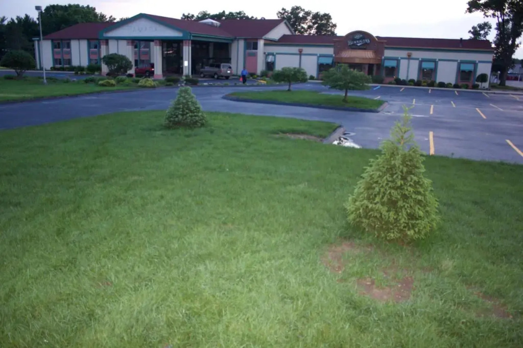 Belvedere Motel