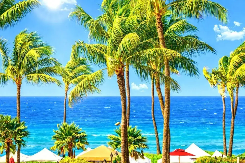 Honua Kai 3 Free Cars KBM Resorts Front Alii Suite 3 Units, 6 Bedrooms HK Ml-3143