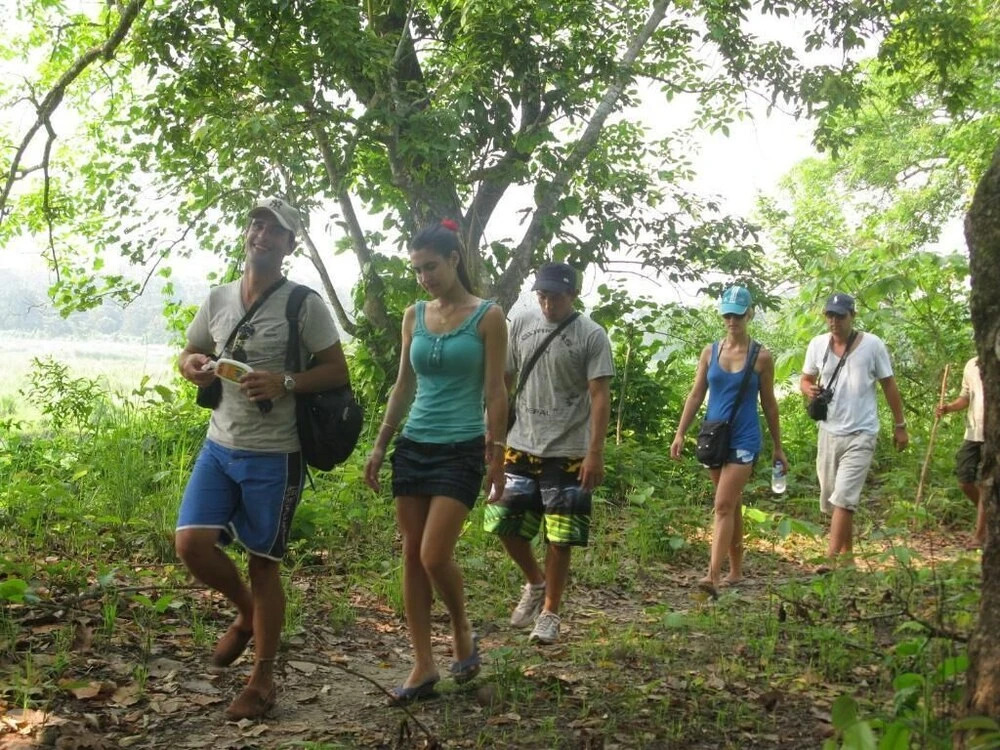 Rhino Land Jungle Lodge