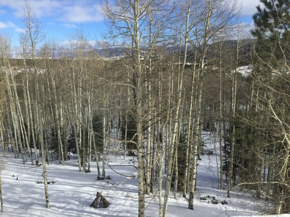 Cabin Share Phase 2