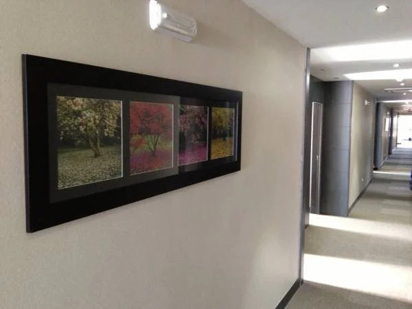 Hotel Adelma
