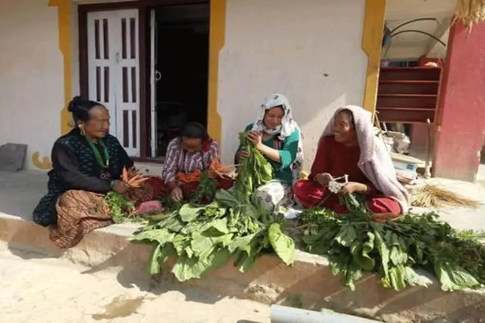 Bhattidanda Fresh & Natural Homestay