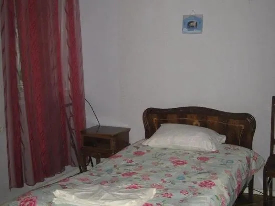 Hostel Temuri