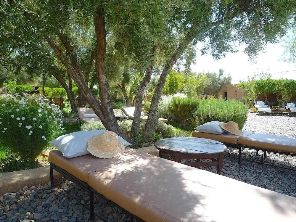Les Jardins de Skoura