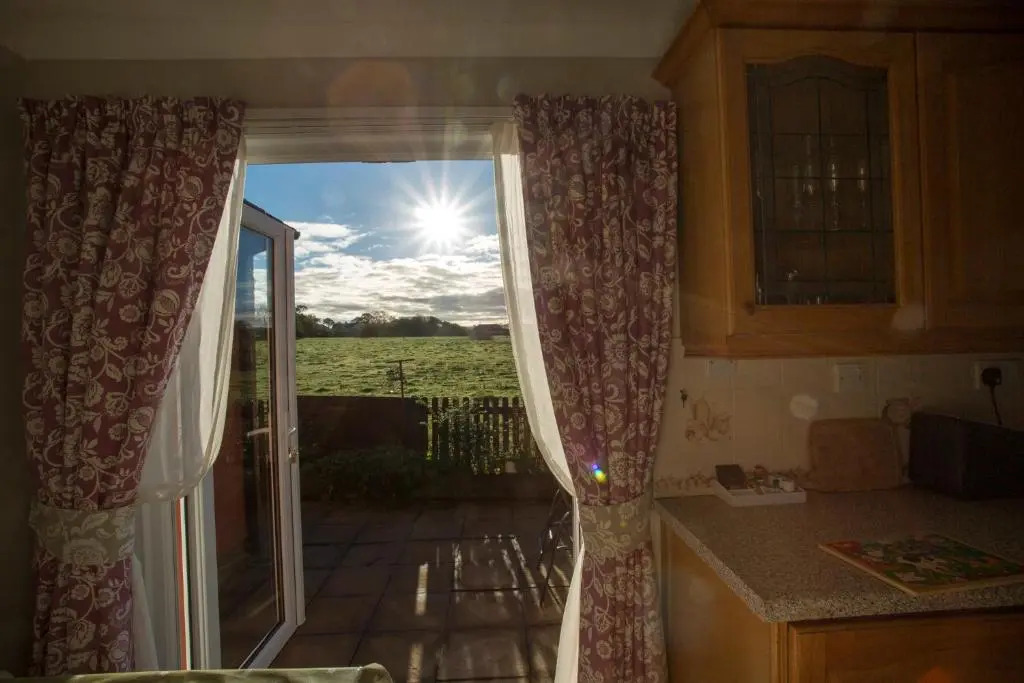 Goitre Bach Cottage