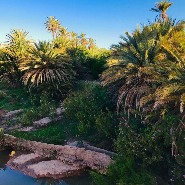 Kasbah Elmehdaoui