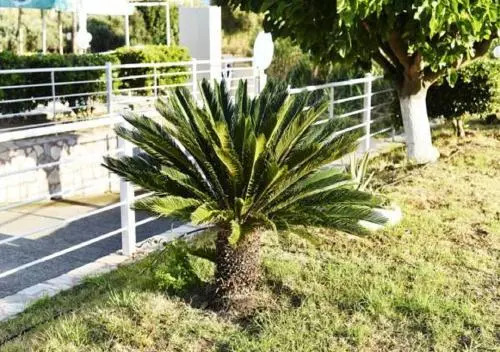 Aparthotel 4 Stars Gerani