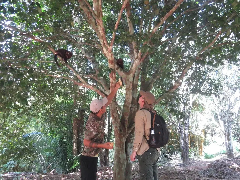 Oropendola Expeditions