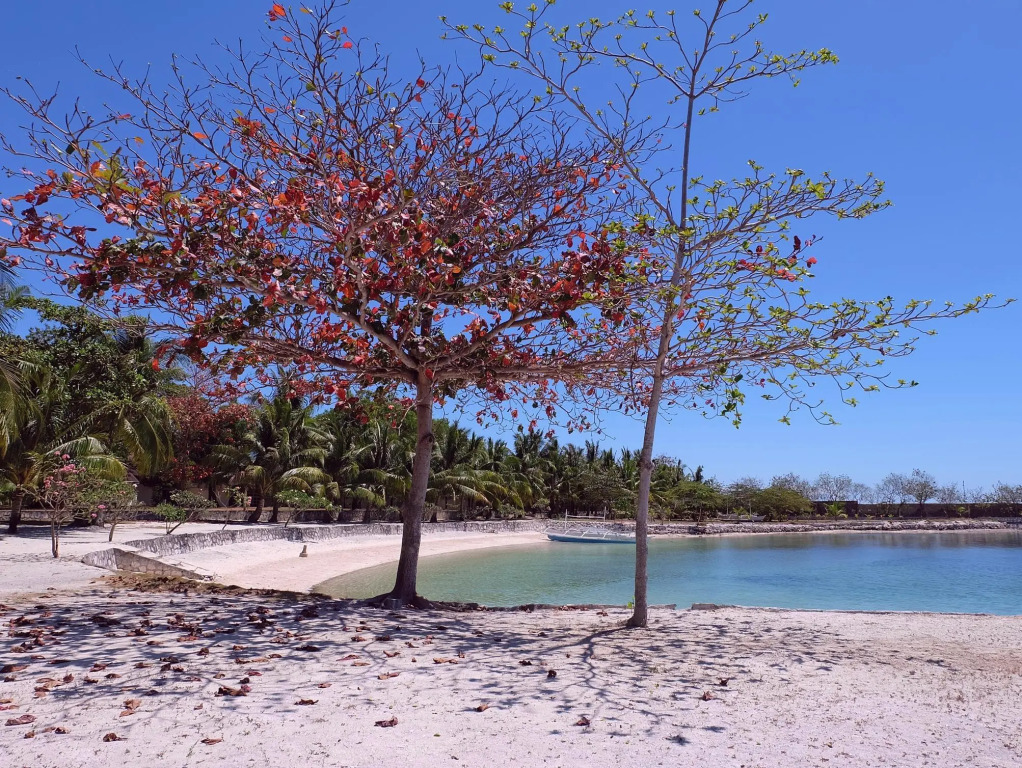 Cordova Reef Village Resort