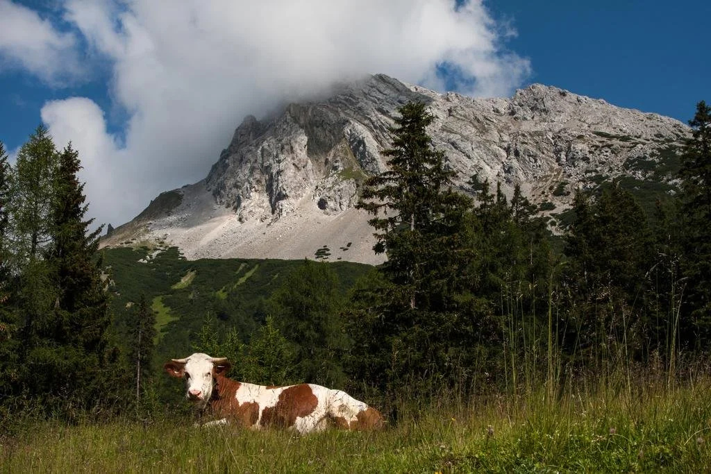 Landhotel Seeblick