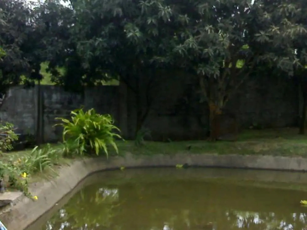 REX Habitat and Cultural Display Area