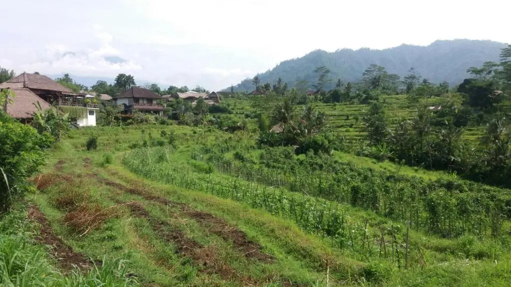 Maha Neka Villa