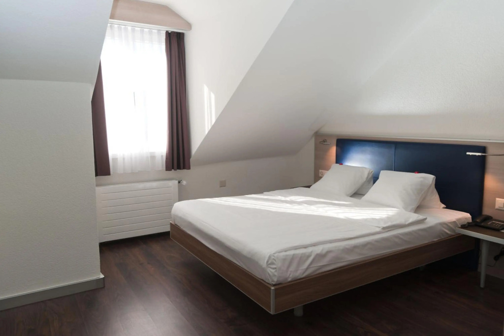 Hotel Alexander Zurich Old Town