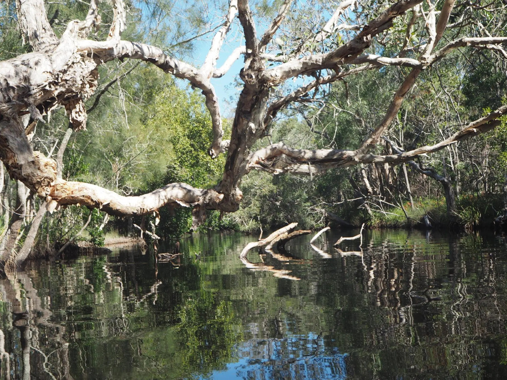 Lake Weyba Cottages Noosa
