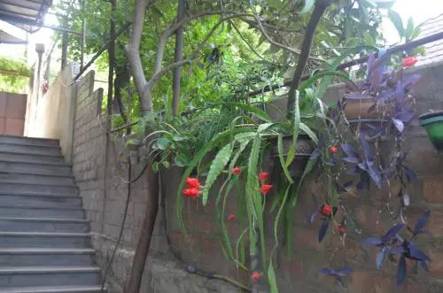 Alexs Cosy Guesthouse