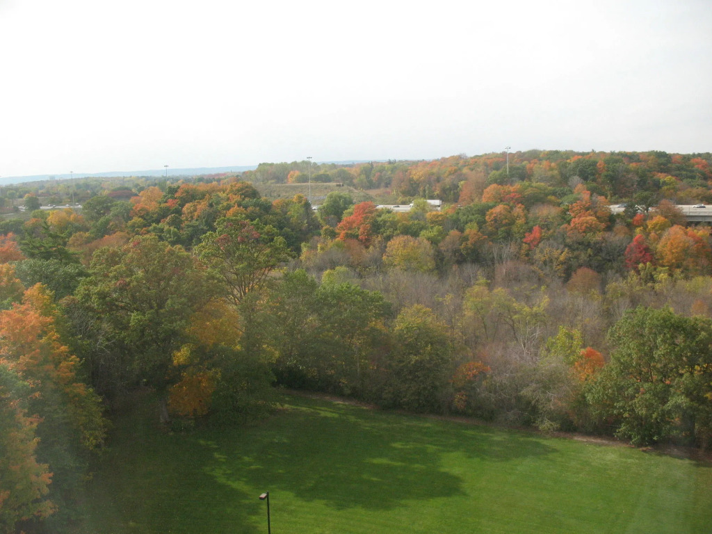 TownePlace Suites by Marriott Toronto Oakville
