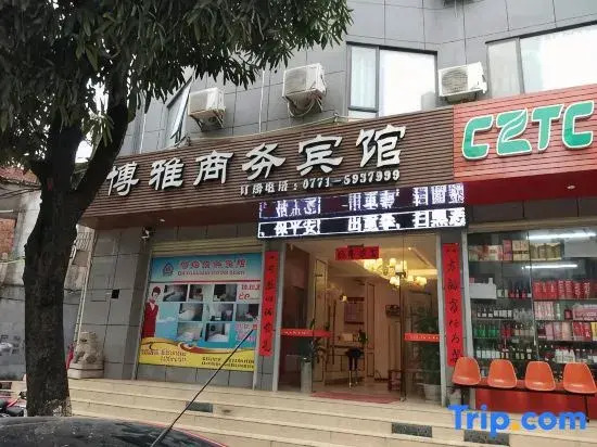 Ningming Boya Business Hotel