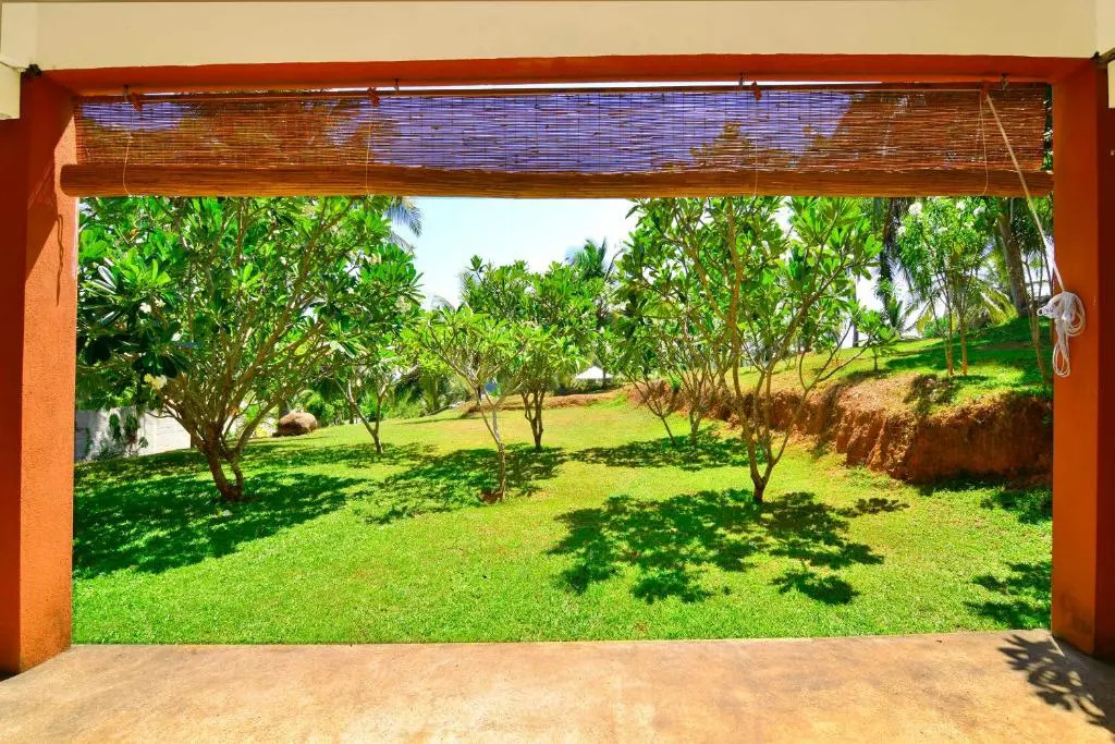 Mimosa Hill
