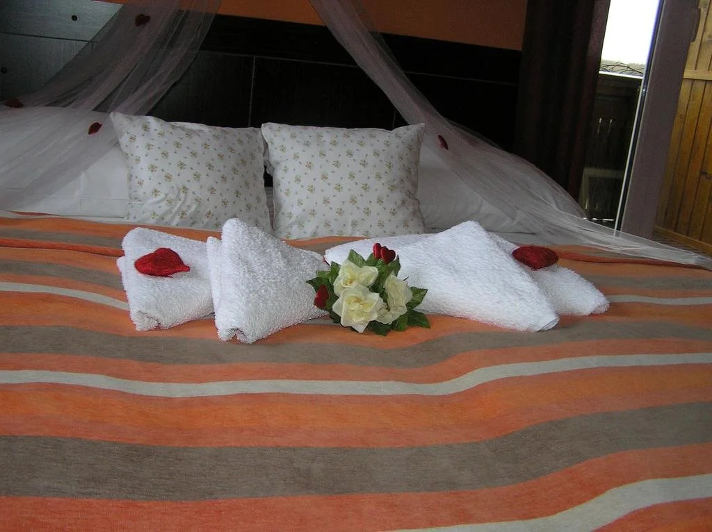 Villa Betula Resort & Camping