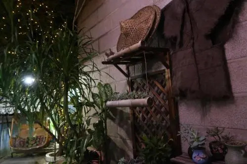 Vanilla Garden Hostel