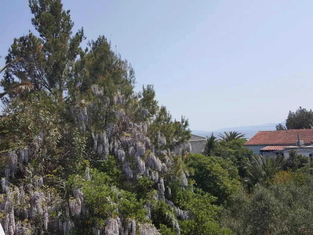 Apartments Stjepan