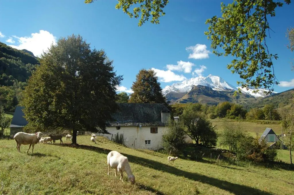 Les Terres Nères