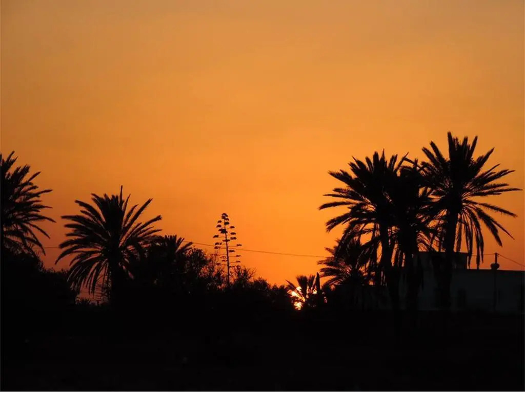 Dar Jasmin Djerba